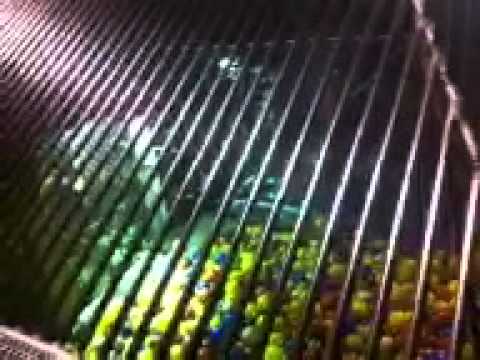 Sleepy Kitty at City Museum — video thumbnail